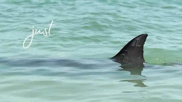 'Video thumbnail for Western Australia Guide Promo'