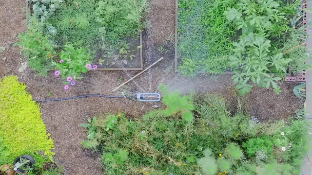 'Video thumbnail for Lawn Watering 101: Tips for a Healthy, Green Yard'