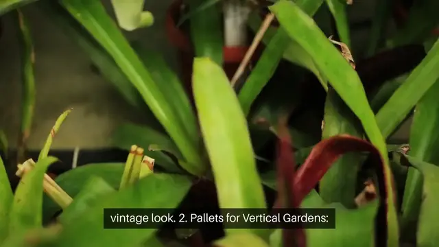 Video thumbnail for Upcycling Ideas for Garden Decor