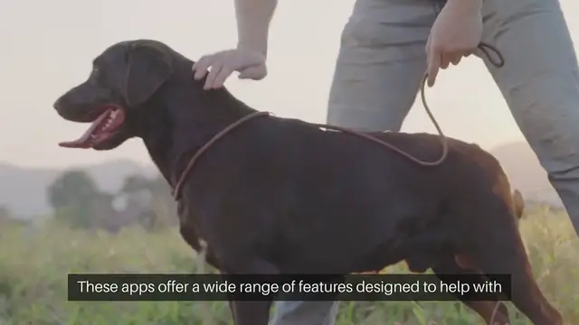 Video thumbnail for Pet Training Apps