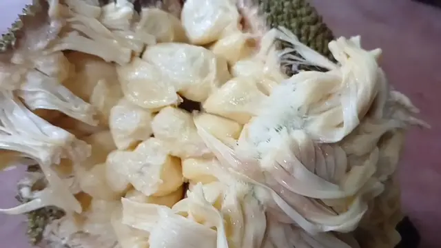 Video thumbnail for Ripped Jackfruit | Fresh Tropical Fruit Harvest from the Tree
