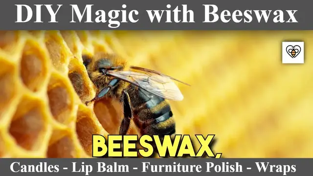 'Video thumbnail for DIY Magic with Beeswax: Crafting Candles, Balms, and More - Step-by-Step Guide'