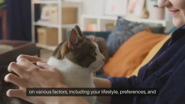 Video thumbnail for Choosing the Right Cat Breed