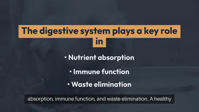 Video thumbnail for Pet Digestive Health