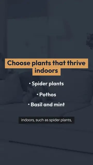 Video thumbnail for Indoor Gardening Tips