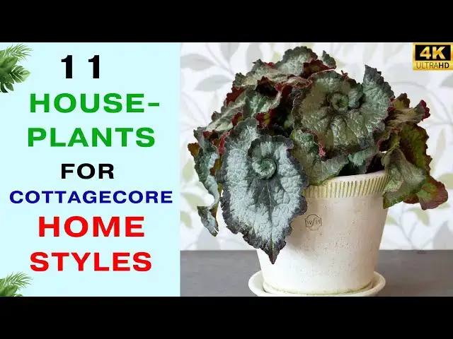 'Video thumbnail for 11 Houseplants for Cottagecore Home Styles | Cottagecore Home Plants'