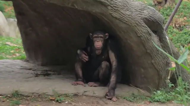 Video thumbnail for 7 Little Words Answers - September 2