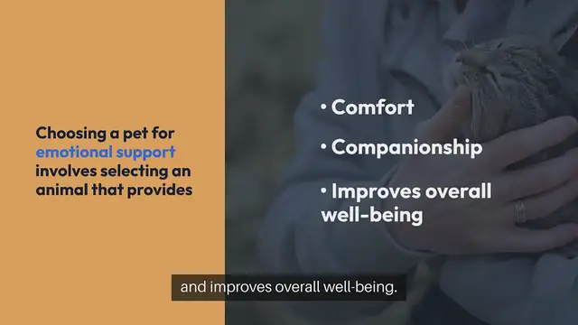 Video thumbnail for Choosing a Pet For Emotional Support