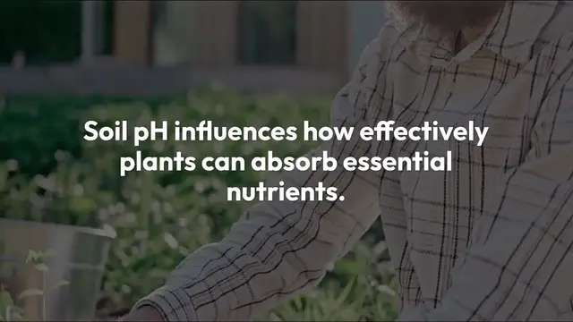 'Video thumbnail for Understanding Soil pH'