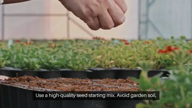 'Video thumbnail for Tips for Starting Seeds Indoors'