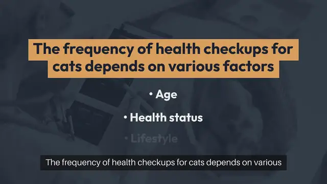Video thumbnail for Cat Health Checkup Frequency