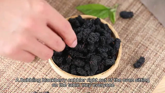 Video thumbnail for Blackberry Cobbler