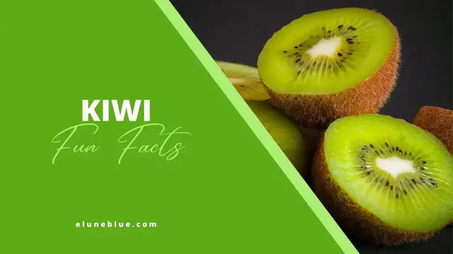 'Video thumbnail for 7 Surprising Facts About Kiwi | Elune Blue'