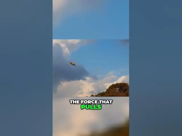 'Video thumbnail for The Science of Kite Flying: The 4 Forces that Propel Your Kite #shorts #string #kite flying'