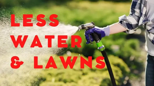 Video thumbnail for Lawn Care During Drought: Water Restriction Tips