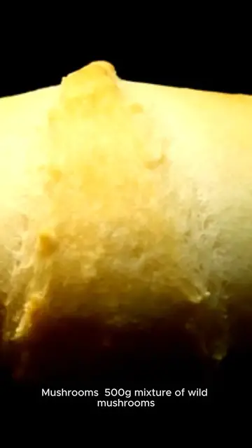 Video thumbnail for beef wellington recipe gordon ramsay