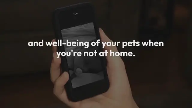 'Video thumbnail for Pet Monitoring While Away'