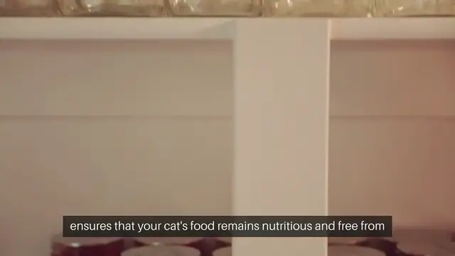 Video thumbnail for Cat Food Storage Guidelines