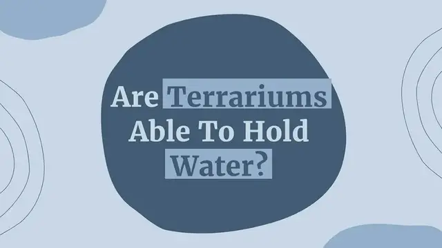 'Video thumbnail for Can Terrariums Hold Water?'