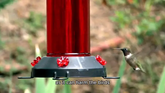 Video thumbnail for recipe for hummingbird food