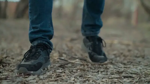 Video thumbnail for The Mushroom ASMR: A Journey into Nature's Quiet Wonders