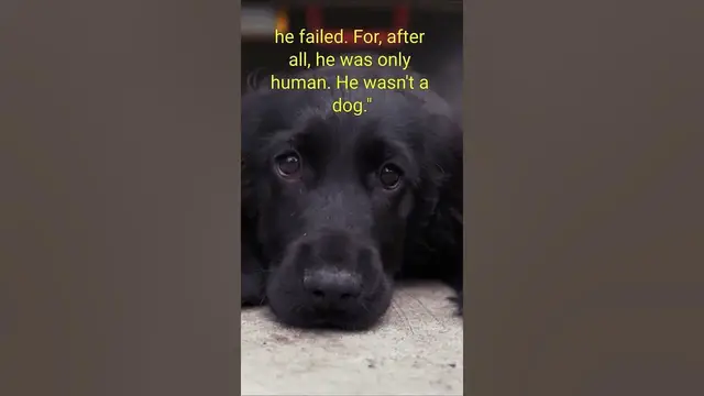 Video thumbnail for Best Dog Quote #shorts