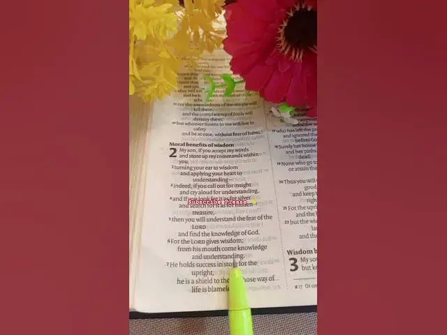 Video thumbnail for Wisdom #johnselephilip