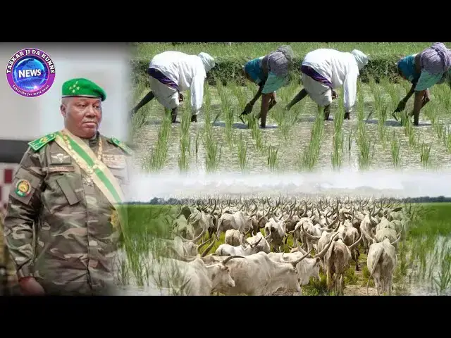 Video thumbnail for TOFA!  GWAMNATIN NIJAR TAKWACE WASU MANYAN GONAKI SABODA ADINGA KIWO ACIKI...