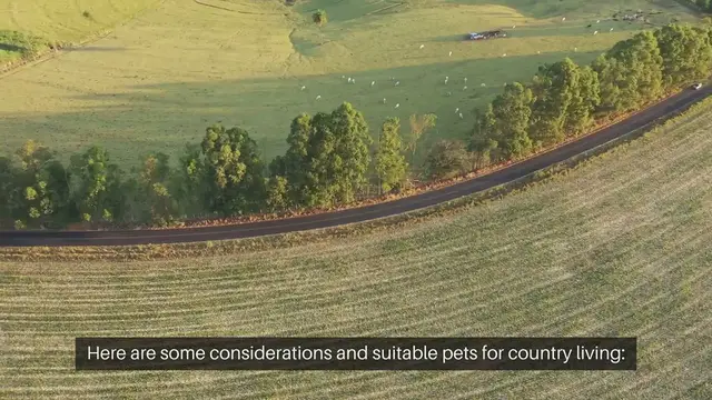 Video thumbnail for Choosing a Pet For Country Living