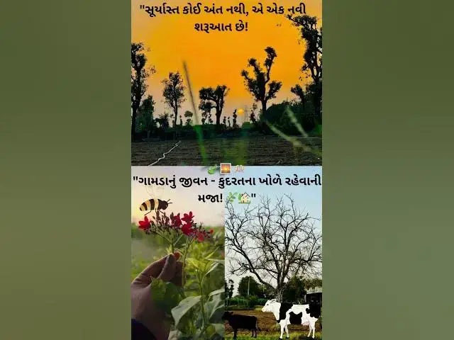 Video thumbnail for "ગામડાનું જીવન - કુદરતના ખોળે રહેવાની મજા! 🌿🏡"@ashvinjoshi1393  #VillageLife#ગામડું #કુદરત