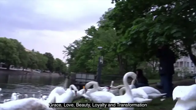 Video thumbnail for Logion 100 Episode 1  19.1.2023.mp4