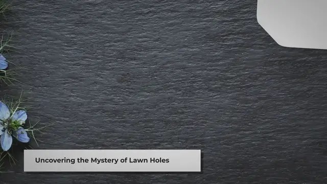 'Video thumbnail for Dealing with Small Holes in Your Lawn: A Comprehensive Guide'