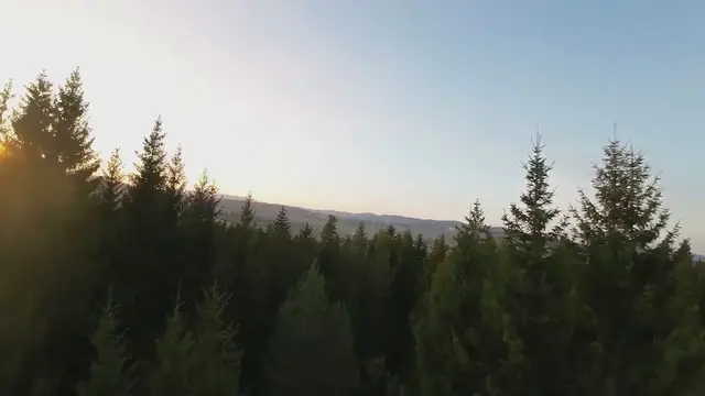 Video thumbnail for "Carolyn Bessette-Kennedy’s Mother's Haunting Warning to JFK Jr. Before Tragic Plane Crash"