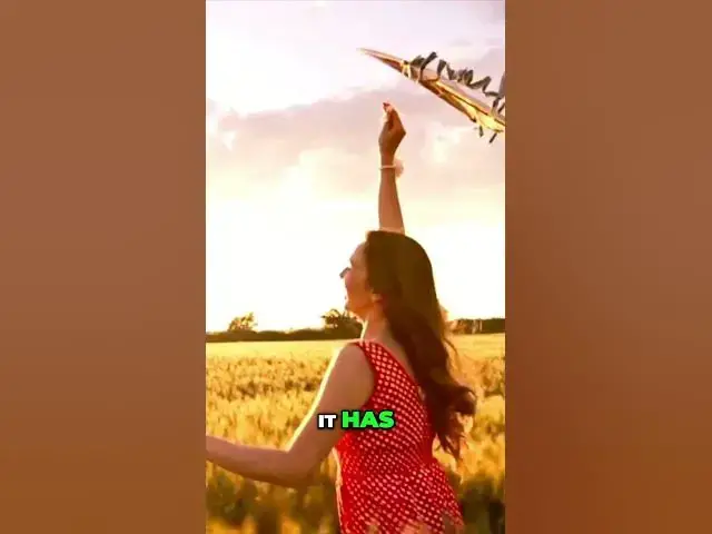 'Video thumbnail for The Best String For A Kite's Sail and Tail  #shorts #string #kite flying'