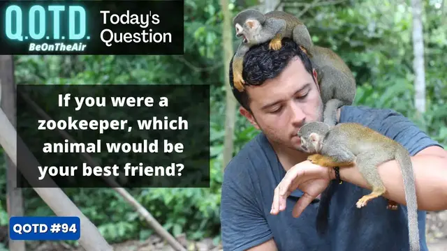 Video thumbnail for Question of the Day  | Your Animal Best Friend