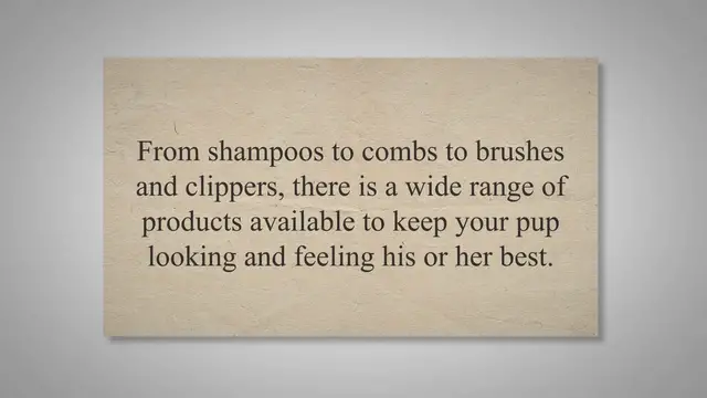 'Video thumbnail for The Most Popular Dog Grooming Supplies to Buy in Bulk'