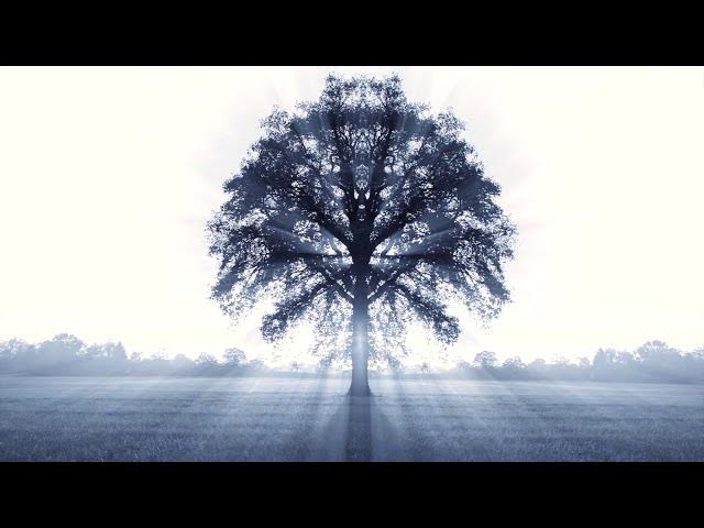 Video thumbnail for Super Ordinary Powers - Initiations with Mystic, Marilynn Hughes, Out of Body Travel