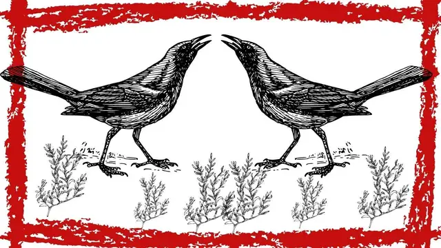 Video thumbnail for 15 Minutes Common Grackle Call/Sound/Song