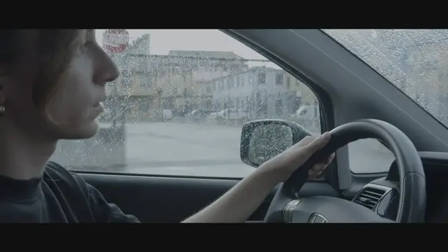 Video thumbnail for Un incontro inaspettato.mov