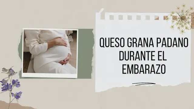 Video thumbnail for QUESO GRANA PADANO DURANTE EL EMBARAZO