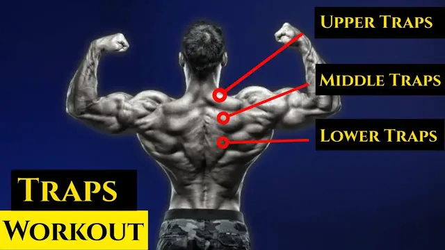 Video thumbnail for 18 Best Trap Workout: Exercises for Trapezius Muscles