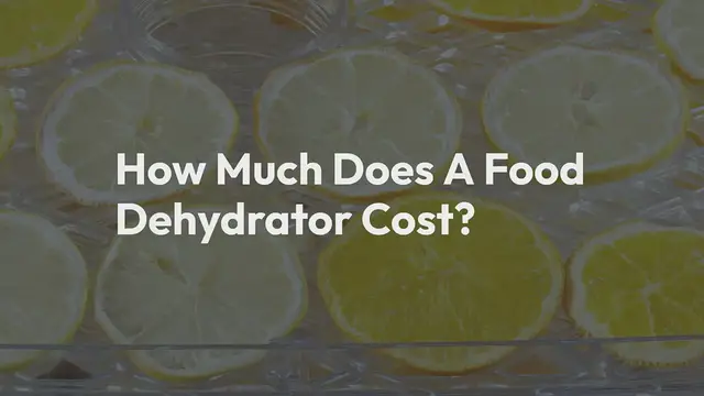 'Video thumbnail for How Much Does A Food Dehydrator Cost? (In-Depth Buying Guide)'