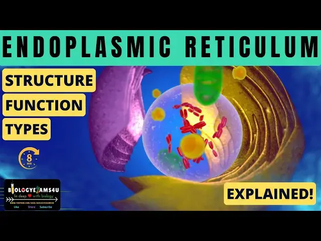 Video thumbnail for Endoplasmic reticulum || Types, SER and RER Structure and Function