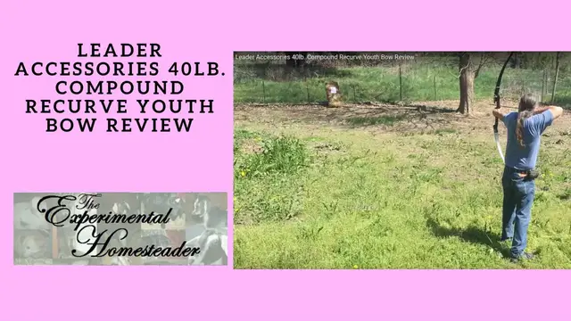 Video thumbnail for Leader Accessories 40lb. Compound Recurve Youth Bow Review