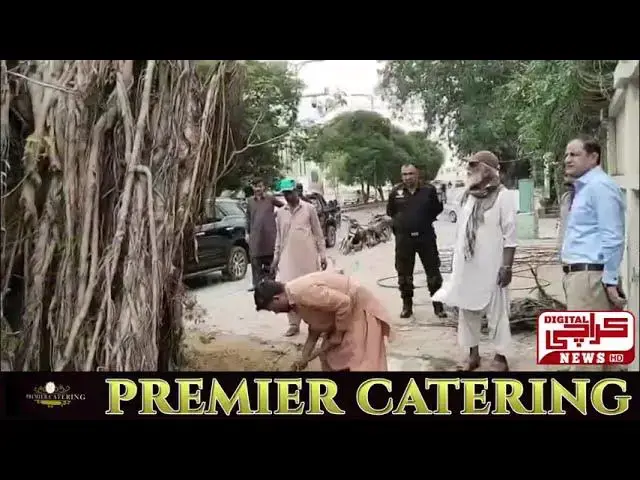 'Video thumbnail for اولڈ کلفٹن میں بارش کے باعث گرنے والے تاریخی بنیان ٹری کا فوری نوٹس'
