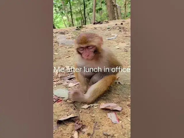 Video thumbnail for Every Employee life #funny #comedy #shorts #short #viral