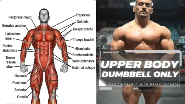Video thumbnail for The Complete Upper-Body Dumbbell Workout | Must Try