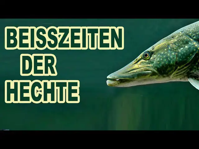 Video thumbnail for Beißzeiten der Hechte nach Jahreszeiten