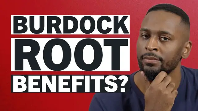 'Video thumbnail for Is Burdock Root The Real Deal? - Let's Look at Burdock Root'