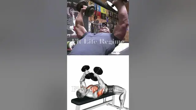 Video thumbnail for John Cena Triceps Routine: Get Stronger and Bigger Like The Champ